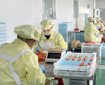 56677凤凰平台(中国游)官方网站