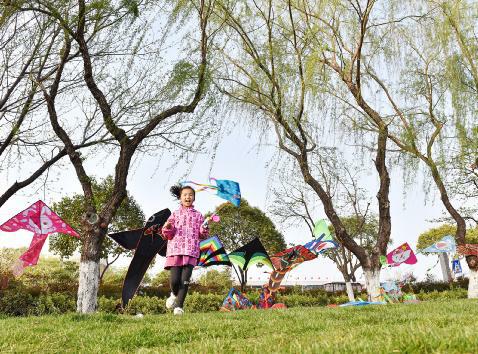 56677凤凰平台(中国游)官方网站